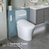 Smart Toilet with Heated Bidet & Dual Flush – One-Piece Smart Toilet | Model ST15