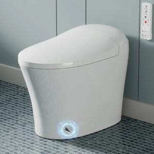 Smart Toilet with Heated Bidet & Dual Flush – One-Piece Smart Toilet | Model ST15