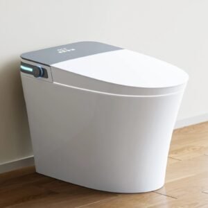 Smart Toilet with Bidet Seat – 10" Rough-In One-Piece Smart Toilet | Model ST30