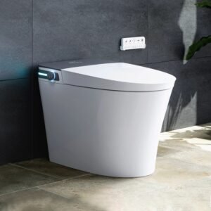 10" Rough-In Smart Toilet with Bidet & Dryer – Power Outage Ready | Model ST73