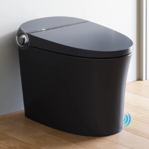 Black Smart Toilet with Bidet Seat – 12" Rough-In One-Piece Smart Toilet | Model ST25